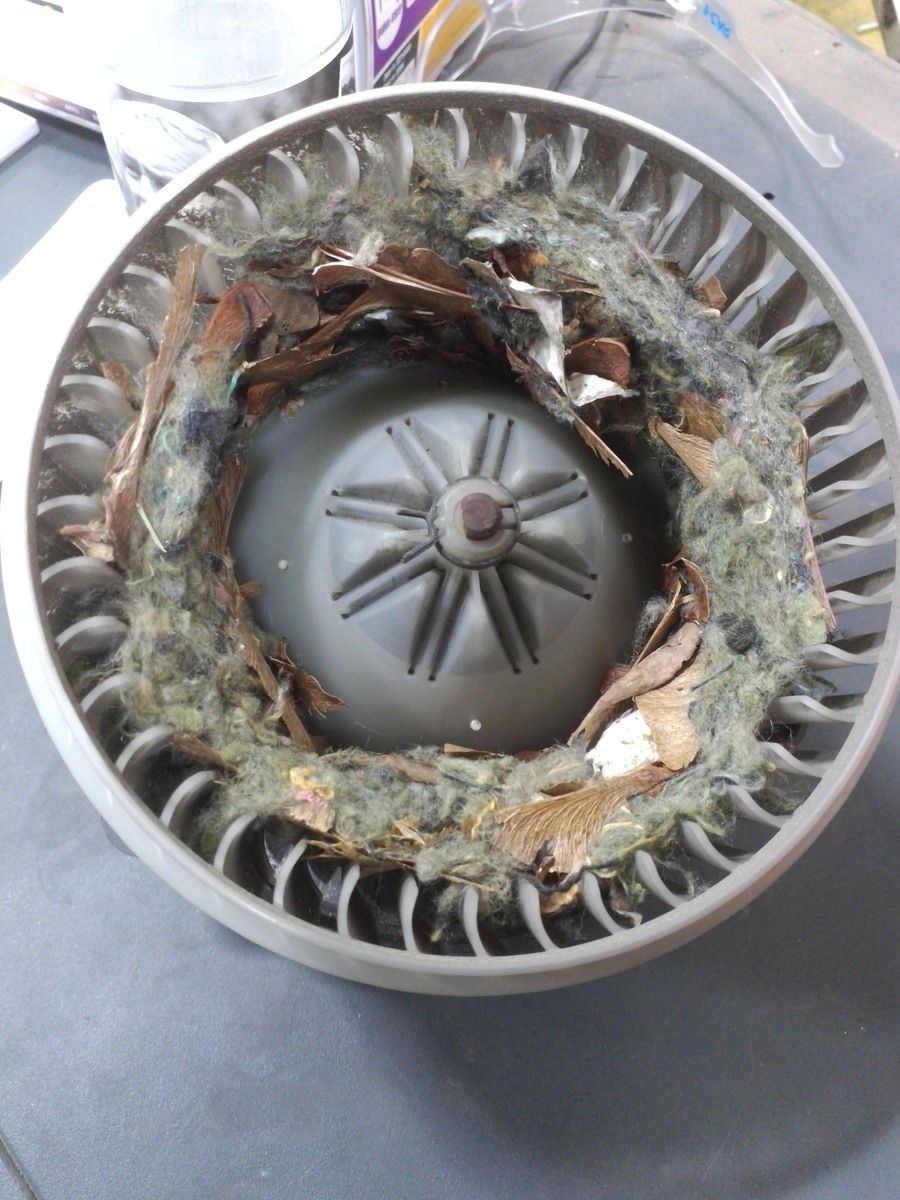 A dusty, gray, circular object with a central, star-shaped piece, surrounded by debris and dried leaves. | Accomplished Automotive