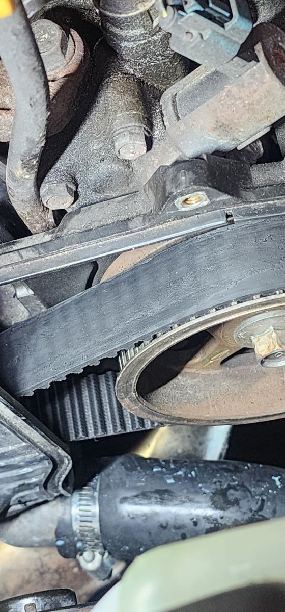 Close-up of a car engine's timing belt and surrounding components, illustrating a mechanic's view. | Accomplished Automotive