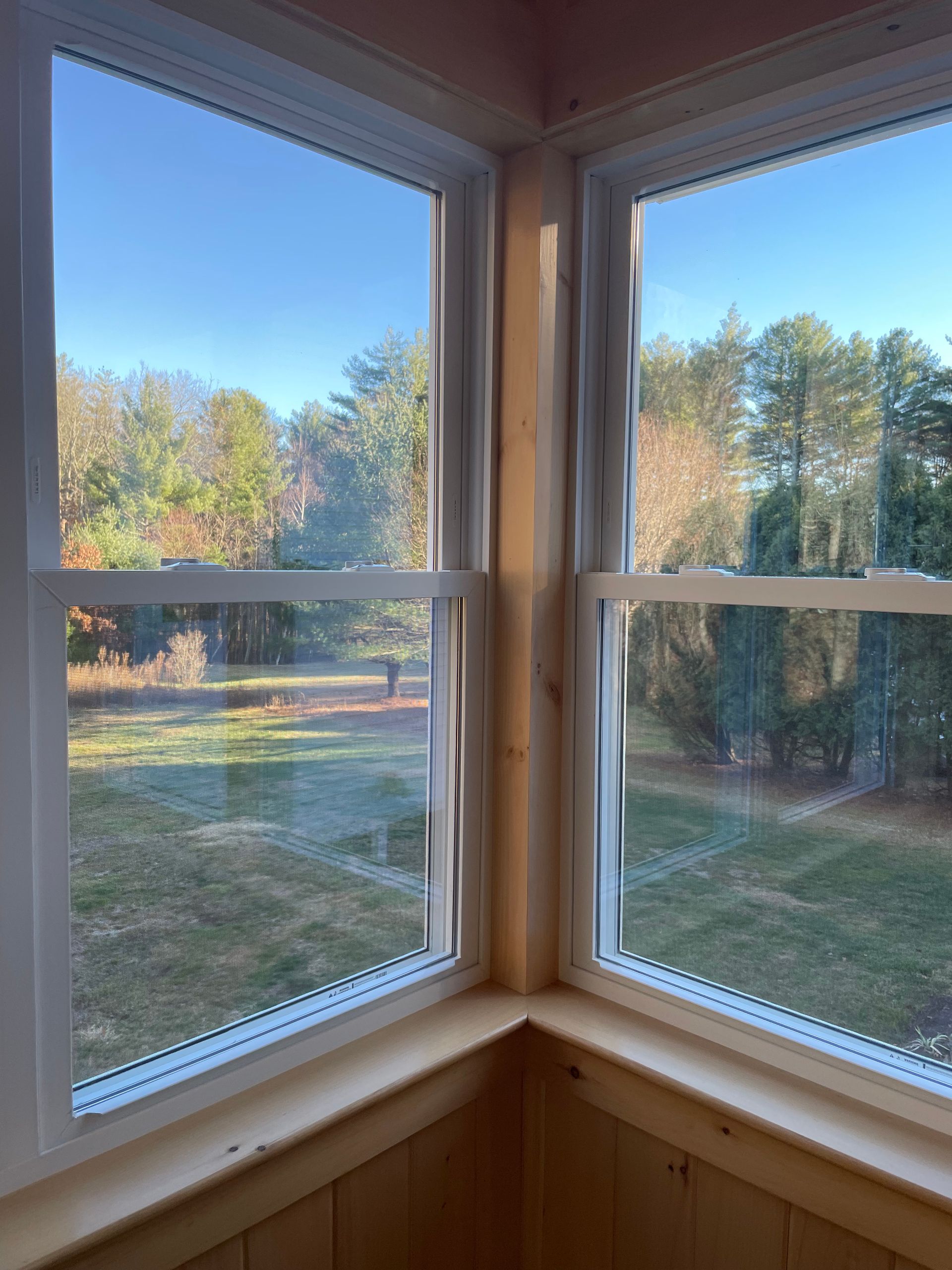 Two white-framed windows meeting at a corner, looking out onto a sunny, wooded yard with bare trees.