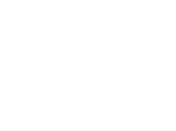 Blue outline map of Massachusetts with county divisions on a white background