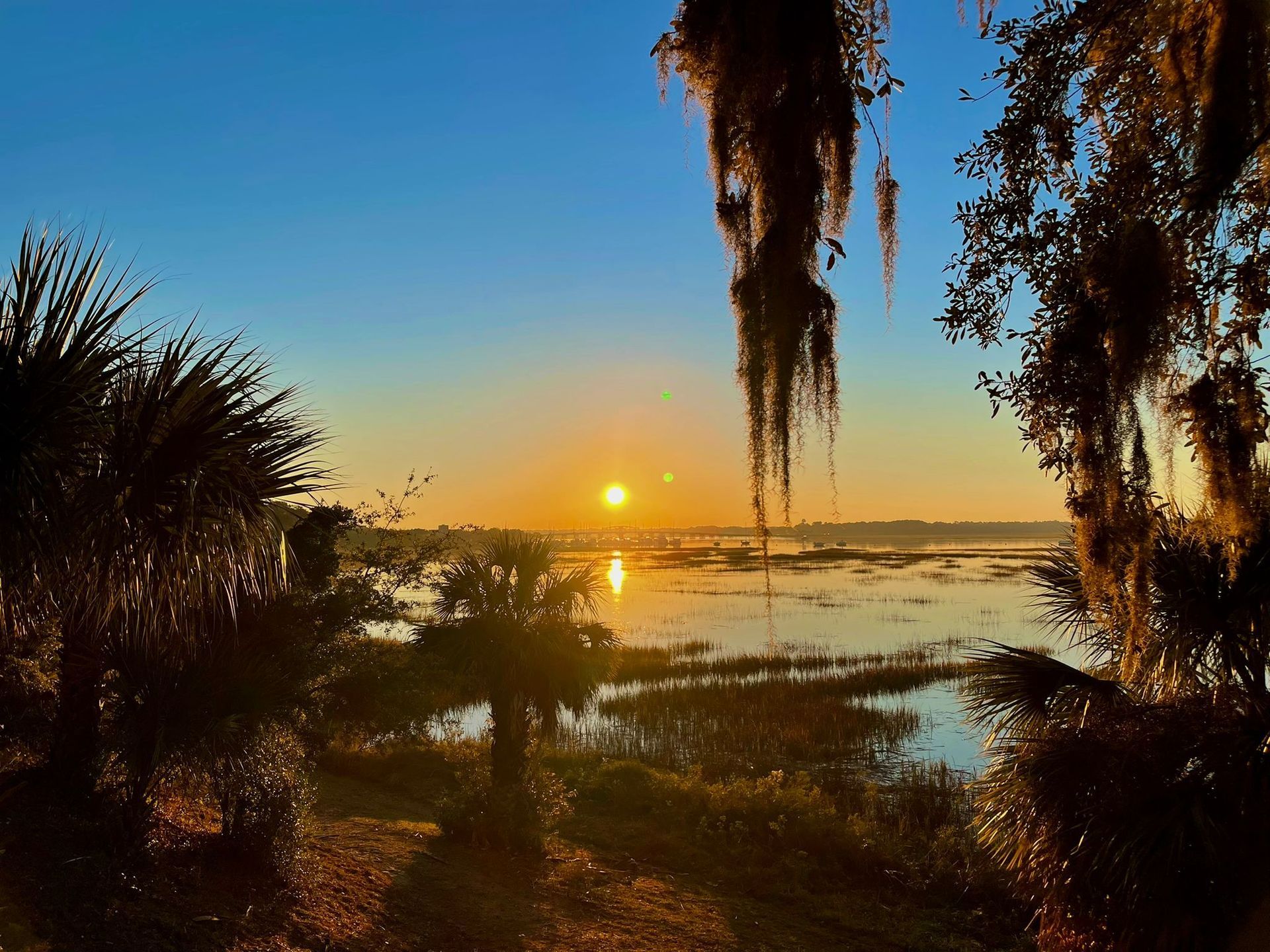 Sunrise over a wetland, framed by palm trees and Spanish moss, reflecting in the calm water.