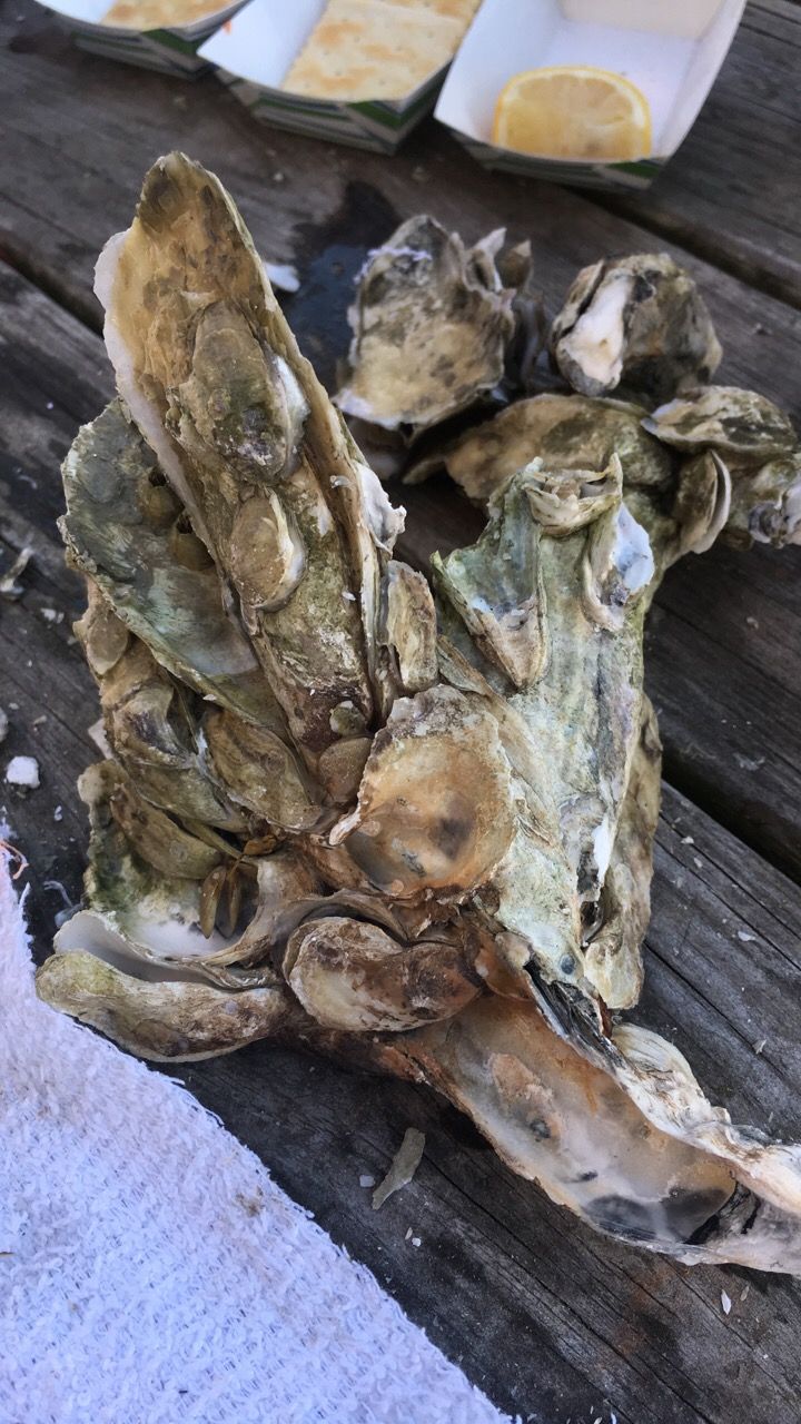 Large cluster of oysters on a wooden table, next to small containers of food and a towel.