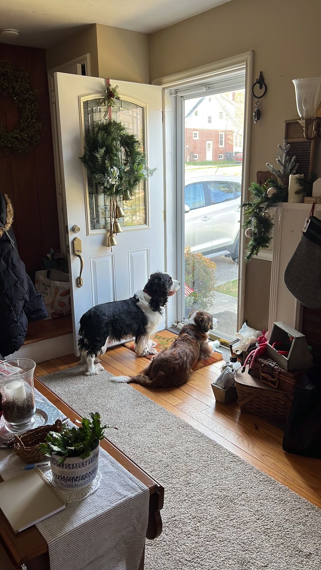 Two dogs at an open front door, one standing, one lying. A wreath hangs on the door. Sunlight streams in.