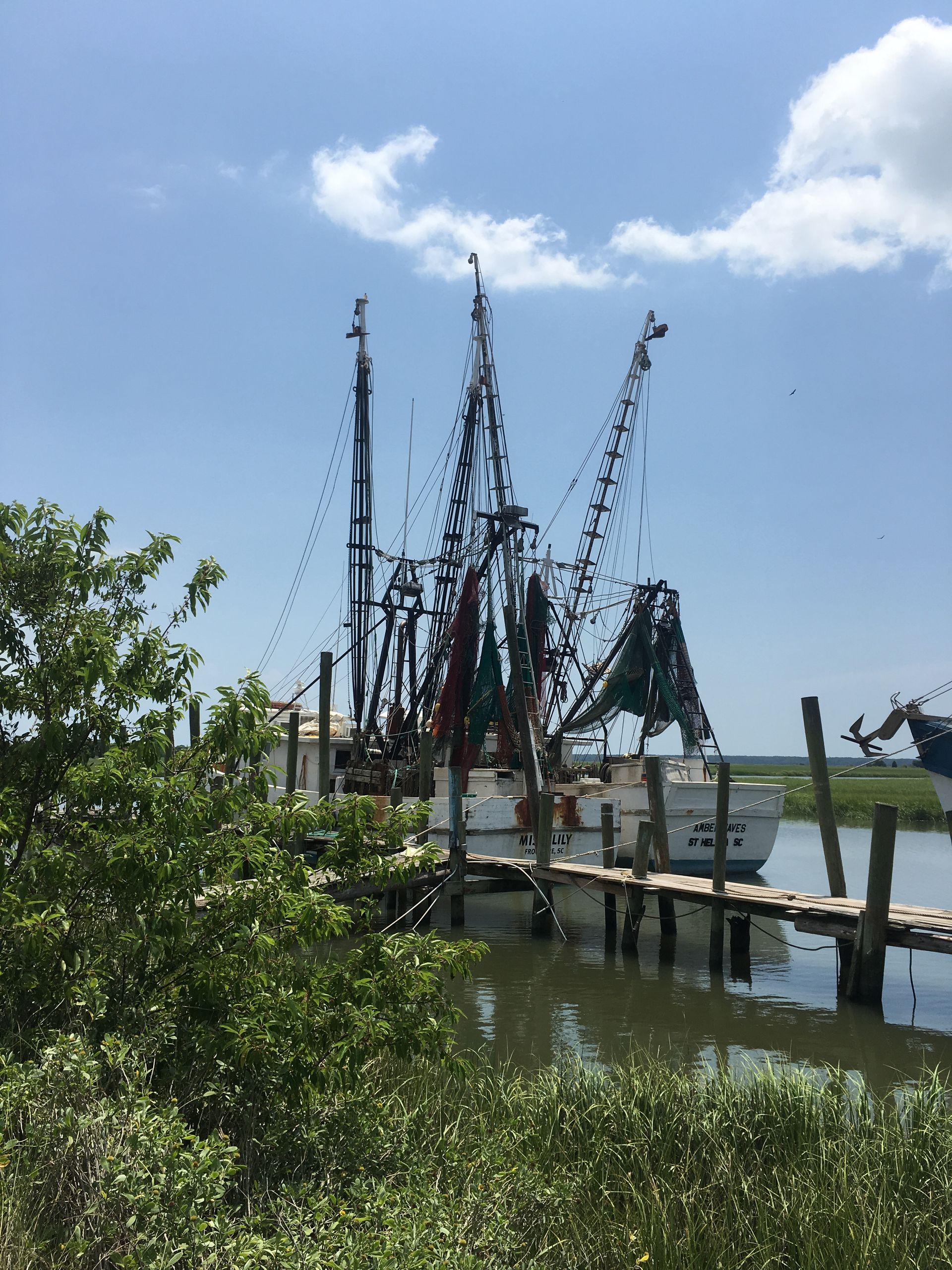 Shrimp boat docked at a wooden pier on a sunny day with blue sky and green vegetation.