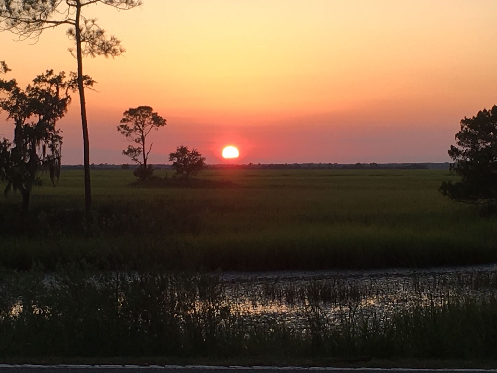 Sunset over a salt marsh with silhouetted trees, orange and yellow sky reflecting on the water.