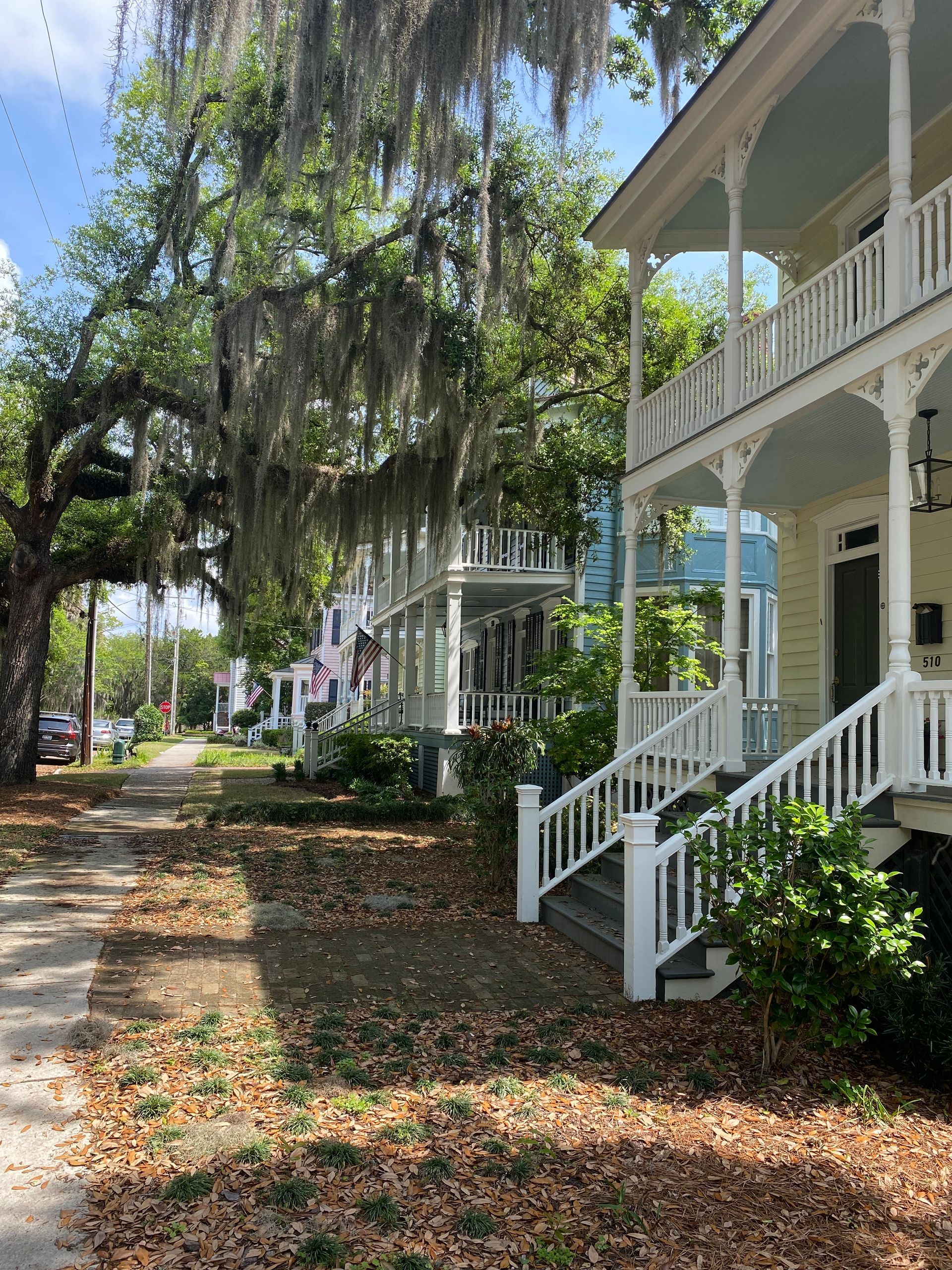 Sidewalk lined with historic homes featuring porches and balconies; large tree with hanging moss.