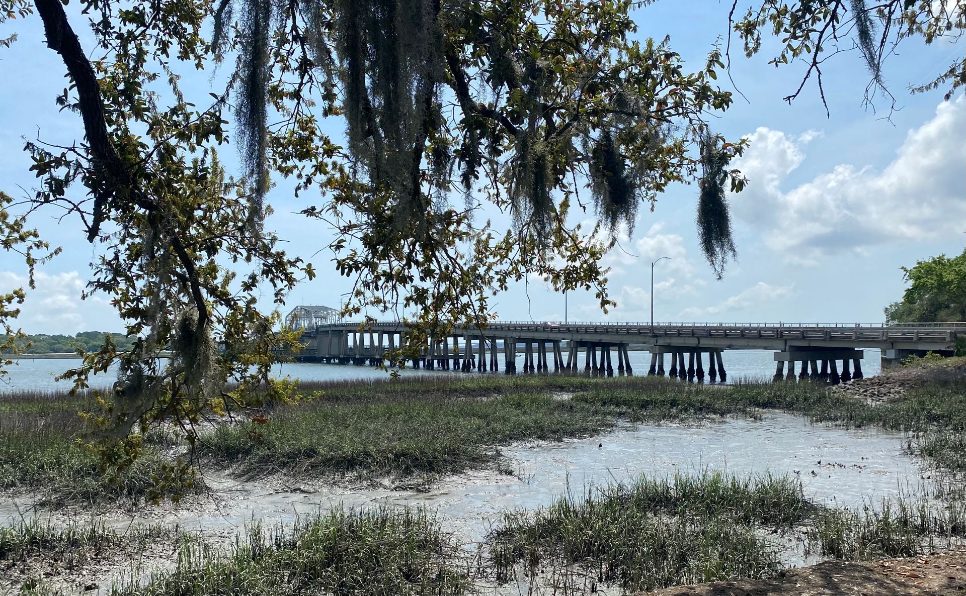 A Woods swing bridge stretches over marshy water. Spanish moss hangs from trees in the foreground under a partly cloudy sky.