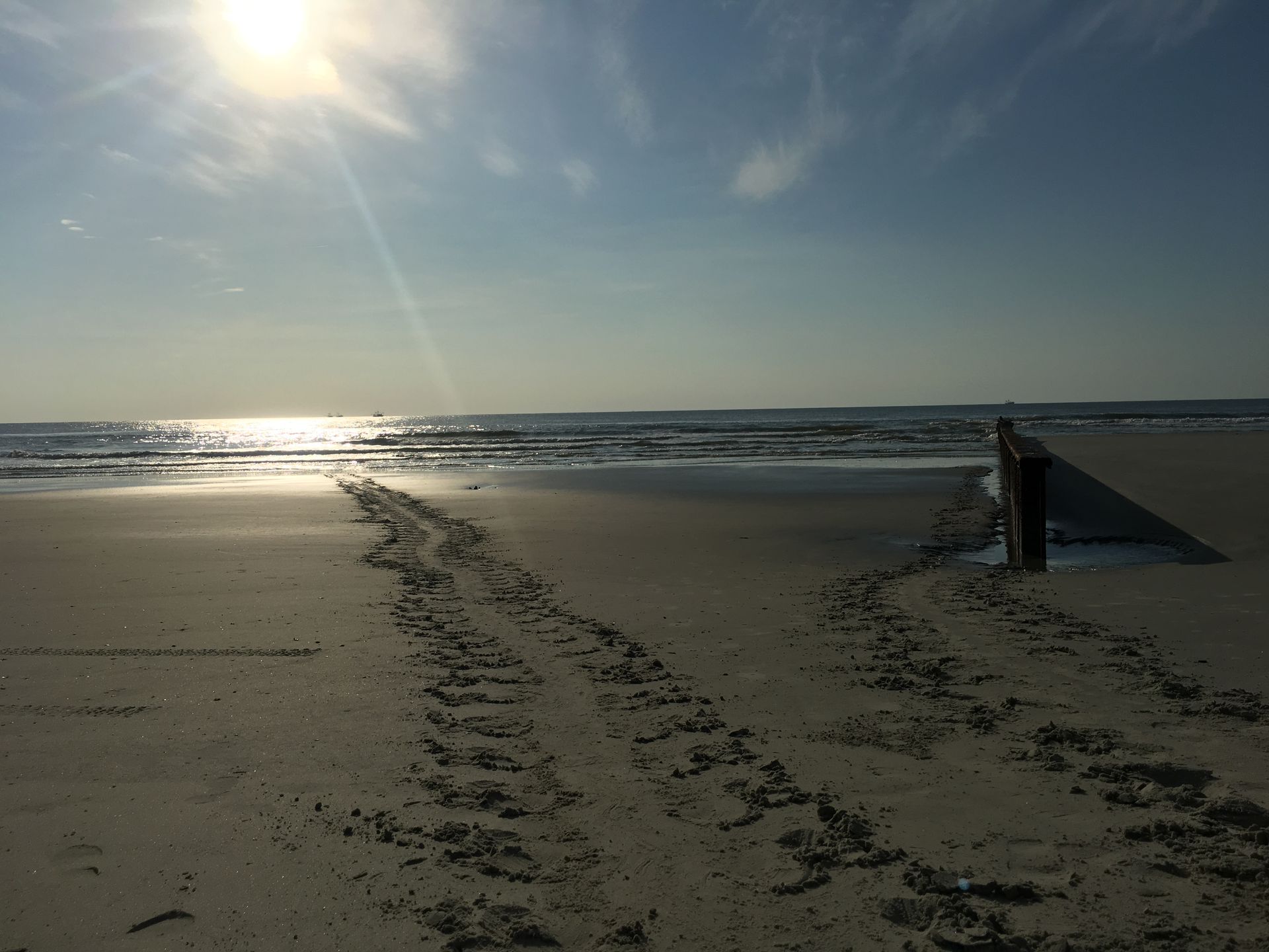 Sandy beach with sea turtle tracks leading towards the ocean under a bright, sunny sky.