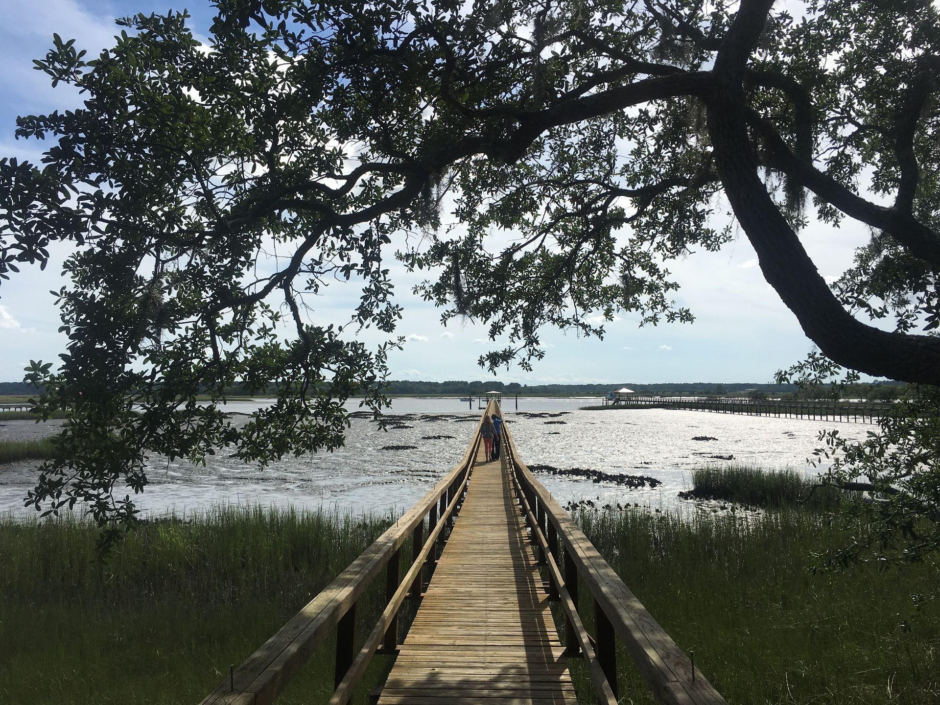 Wooden walkway dock over water, framed by trees and leading to an open horizon under a blue sky.