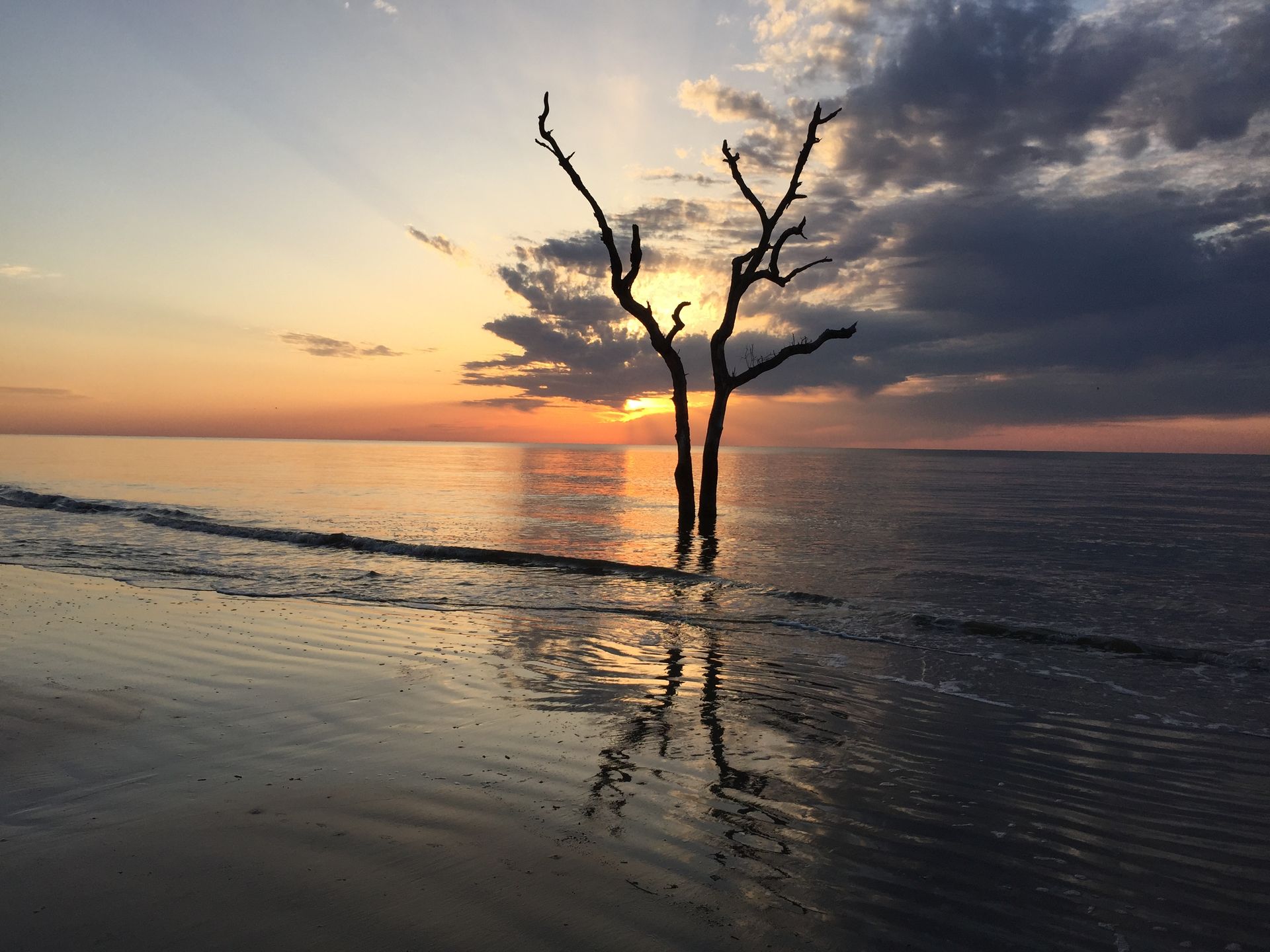 Sunset over ocean with silhouette of bare tree, reflecting on wet sand. Orange, yellow and blue hues.