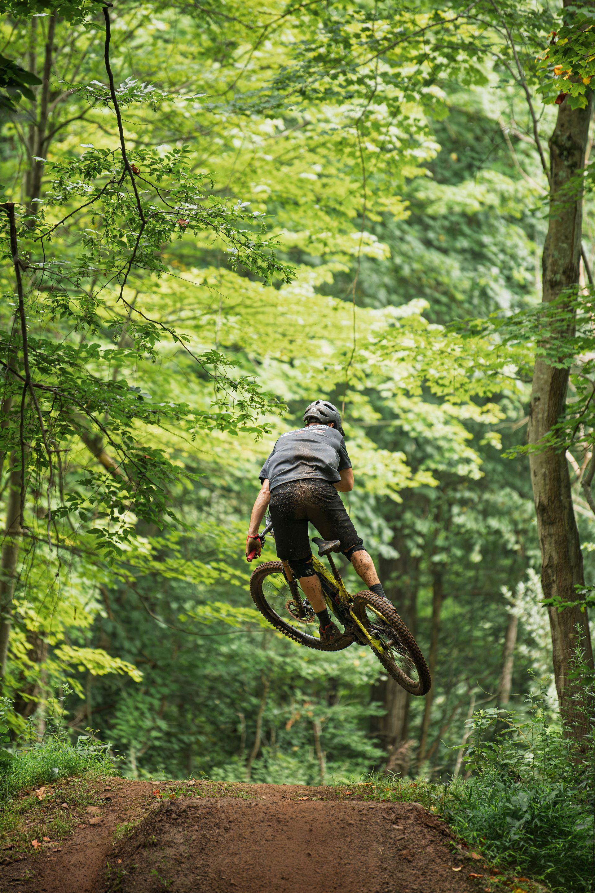 Mountain biker in mid-air above a dirt jump, surrounded by green trees.