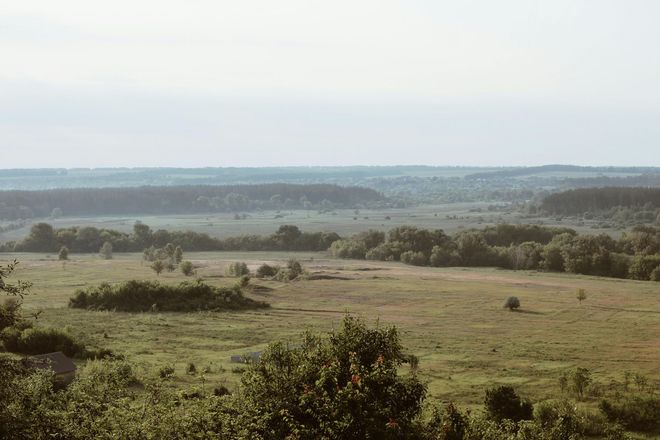 A view of a lush green field with trees in the distance.