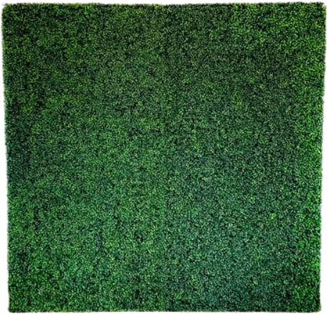 A square of green grass on a white background.