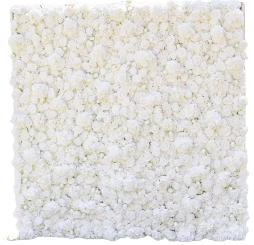 A square of white flowers on a white background.