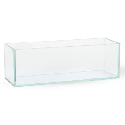 A clear glass aquarium on a white background.