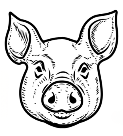 Pig head with detailed cross-hatching, facing forward.