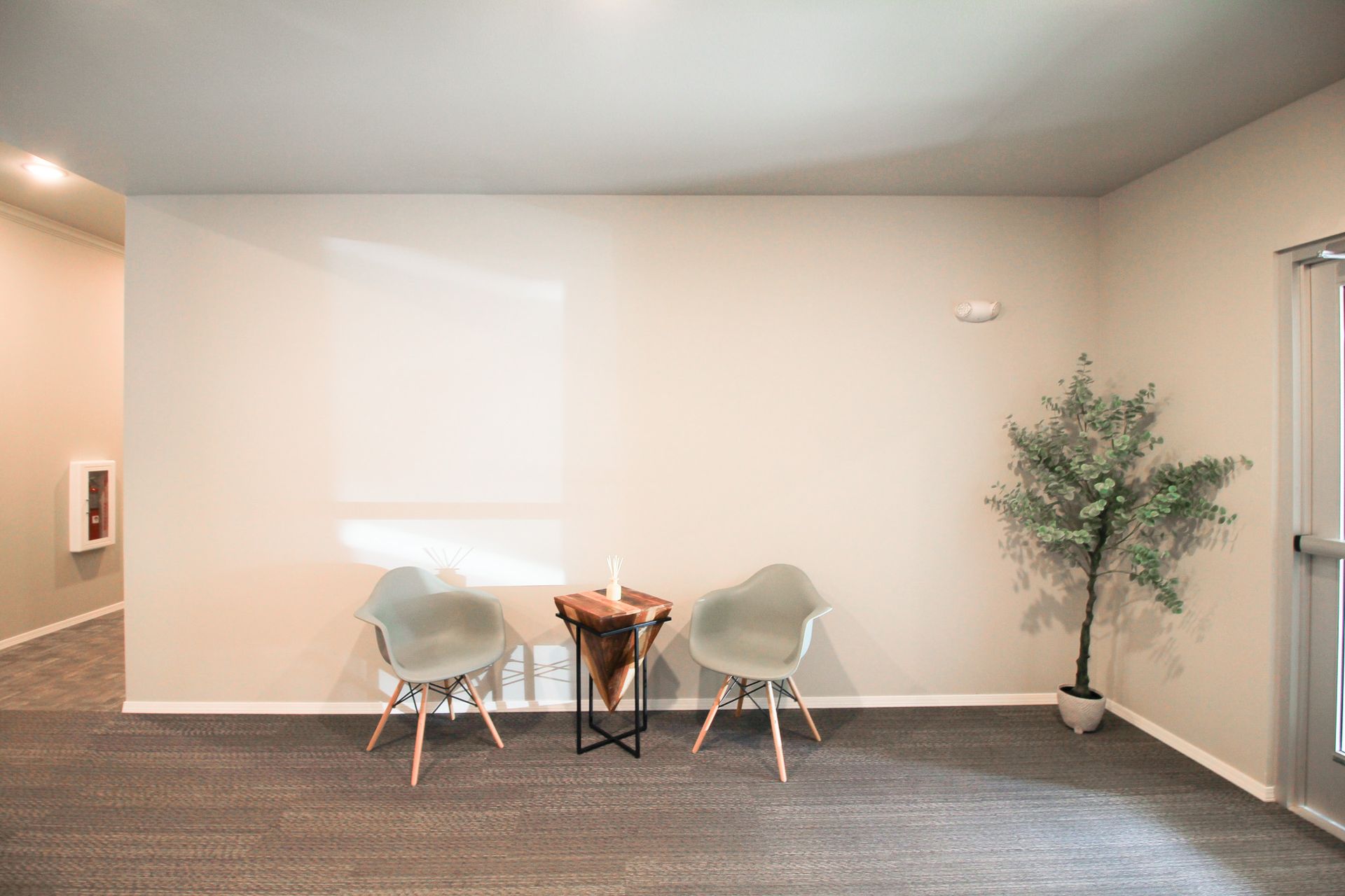 Minimal waiting area with two white chairs, small table, wall art, and a potted tree on carpet.