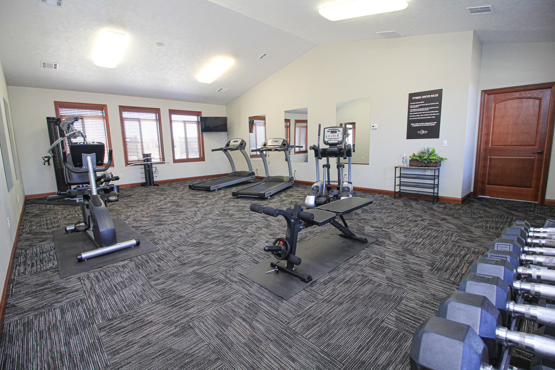 Small gym room with exercise machines, dumbbells, windows, and carpeted floor