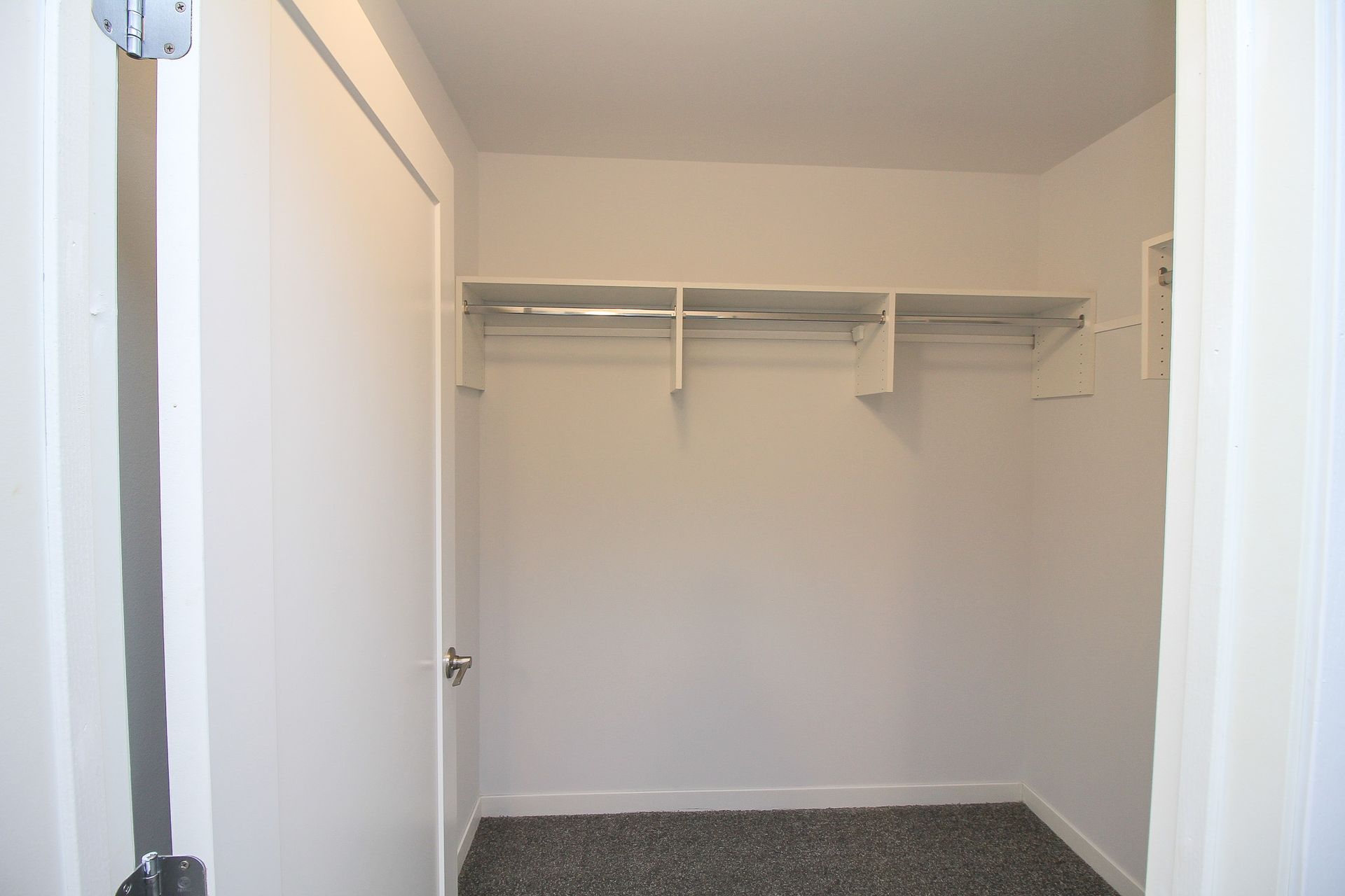 Empty walk-in closet with white walls, built-in shelves, and carpeted floor