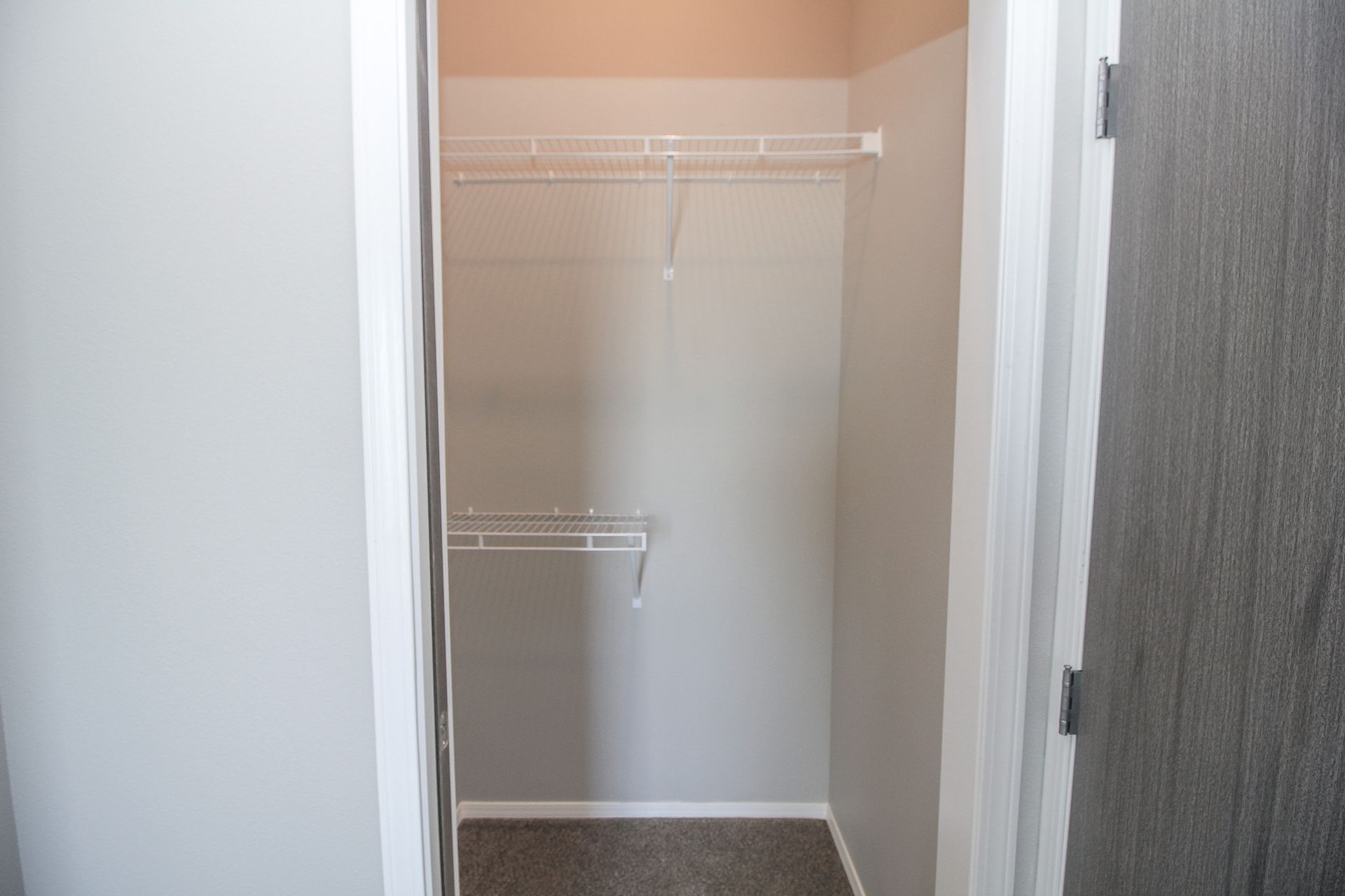 Empty closet with white shelves and hanging rods, beige walls, and carpeted floor.