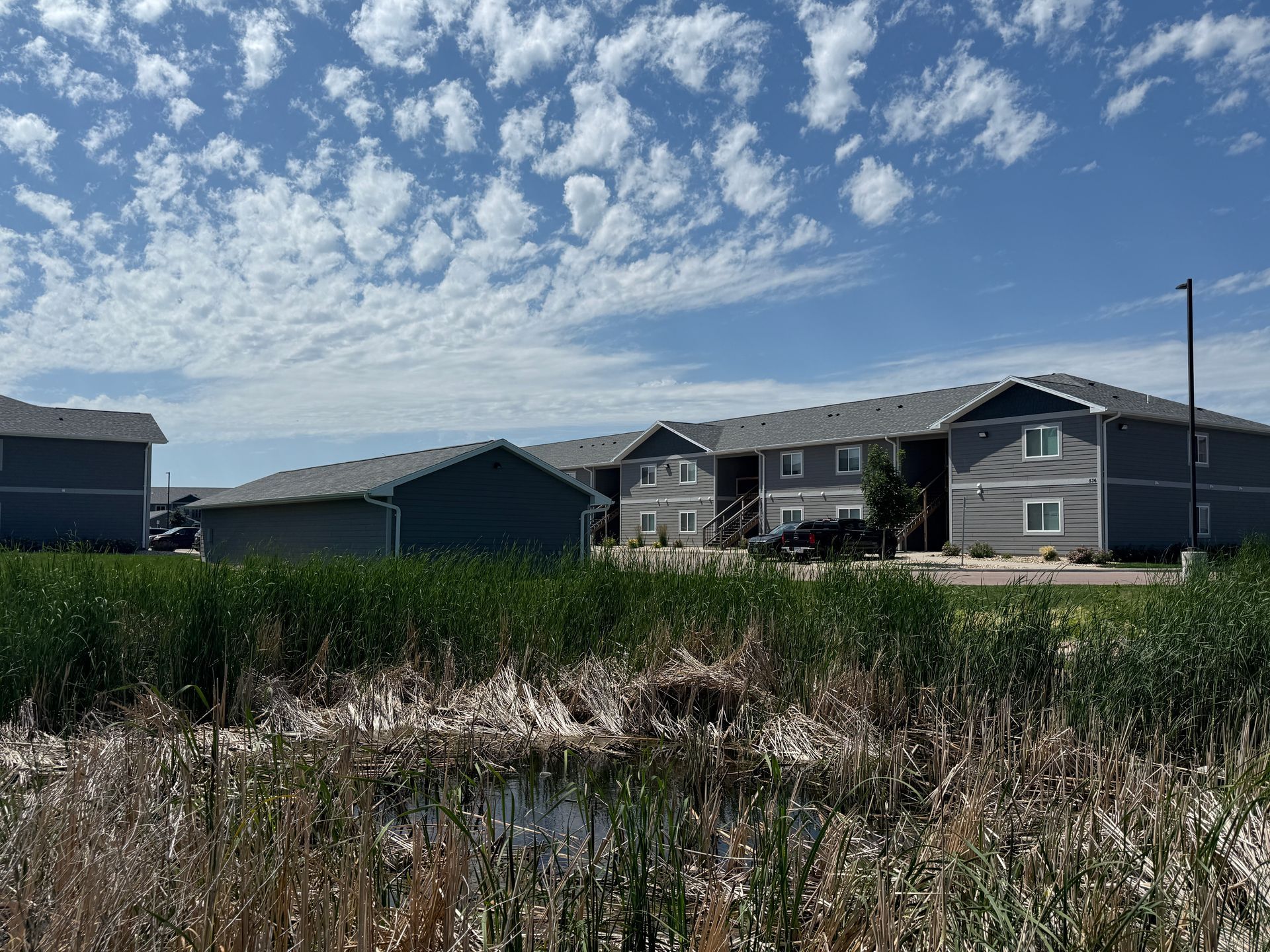 Suburban houses beside a grassy marsh under a bright, cloud-filled sky
