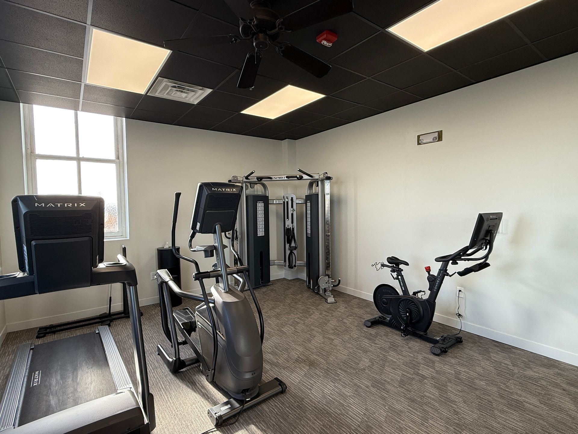 Small gym room with cardio and strength machines, carpeted floor, and large windows.