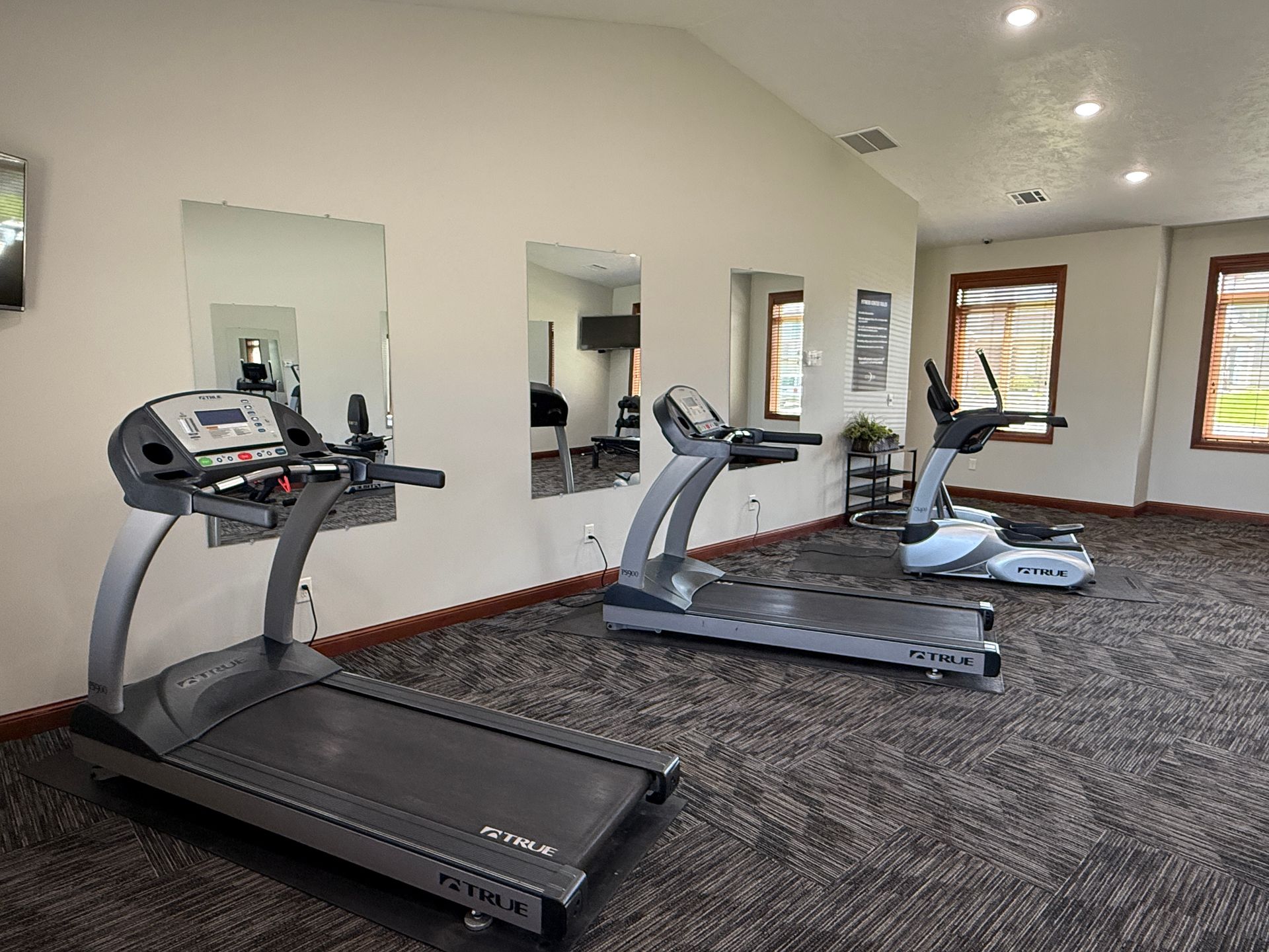 Gym room with treadmill, elliptical, and stationary bike on carpeted floor by mirrors and windows