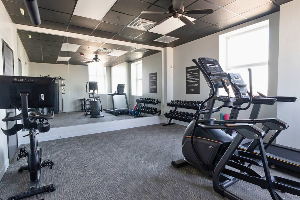 Modern gym with treadmills, weights, mirrors, and bright natural light