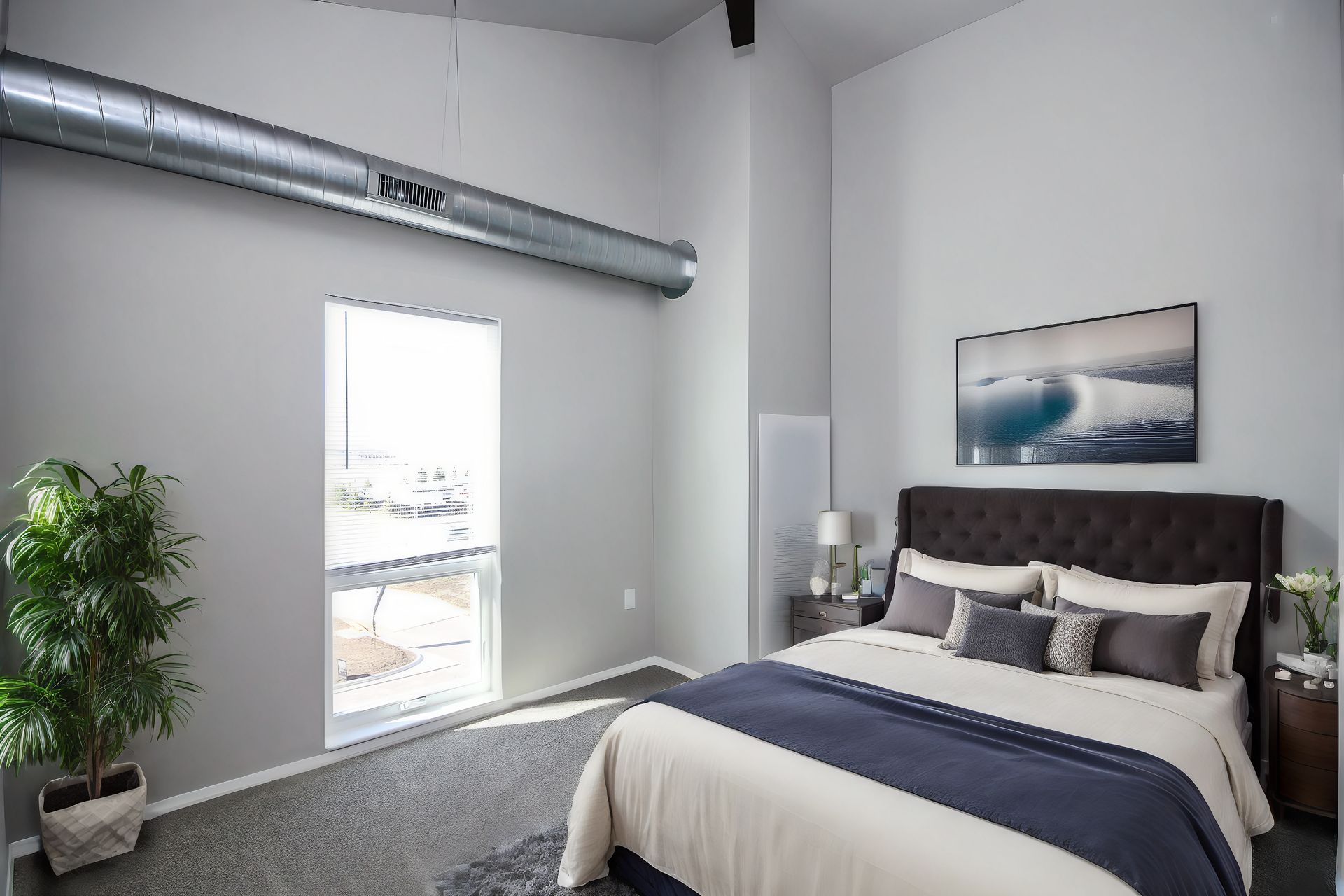 Modern bedroom with king bed, white walls, large window, and a potted plant near the door