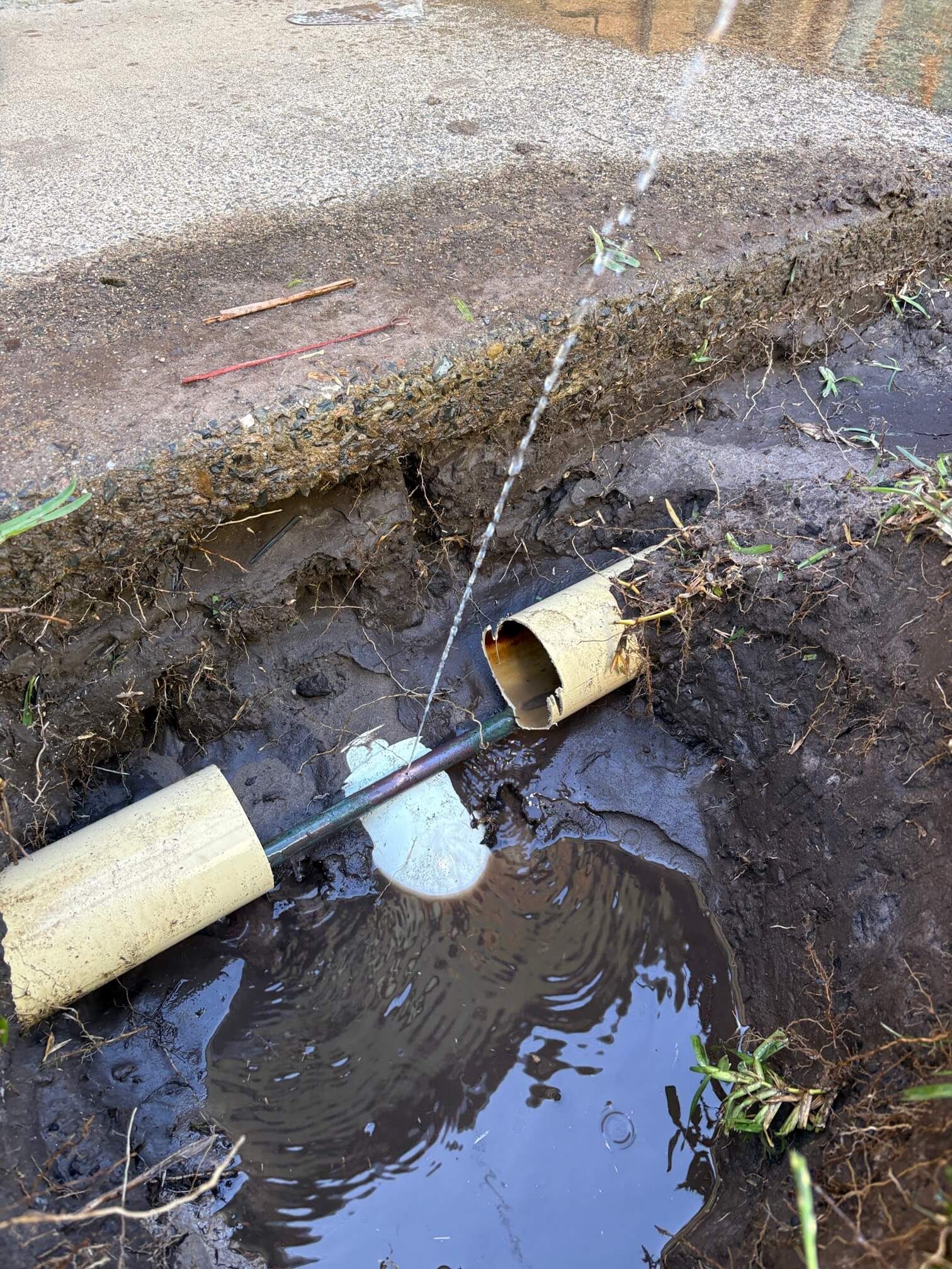A small geyser of water sprays from a pressurized pipe partially exposed in a muddy trench alongside a concrete curb.