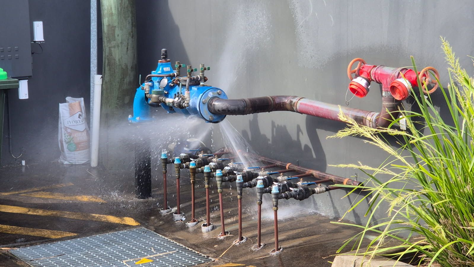 Water spraying from a blue valve and multiple spigots on a concrete wall. A red fire hydrant is visible.