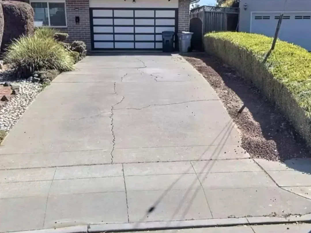 Concrete driveway leading to a garage, bordered by hedges and desert landscaping.