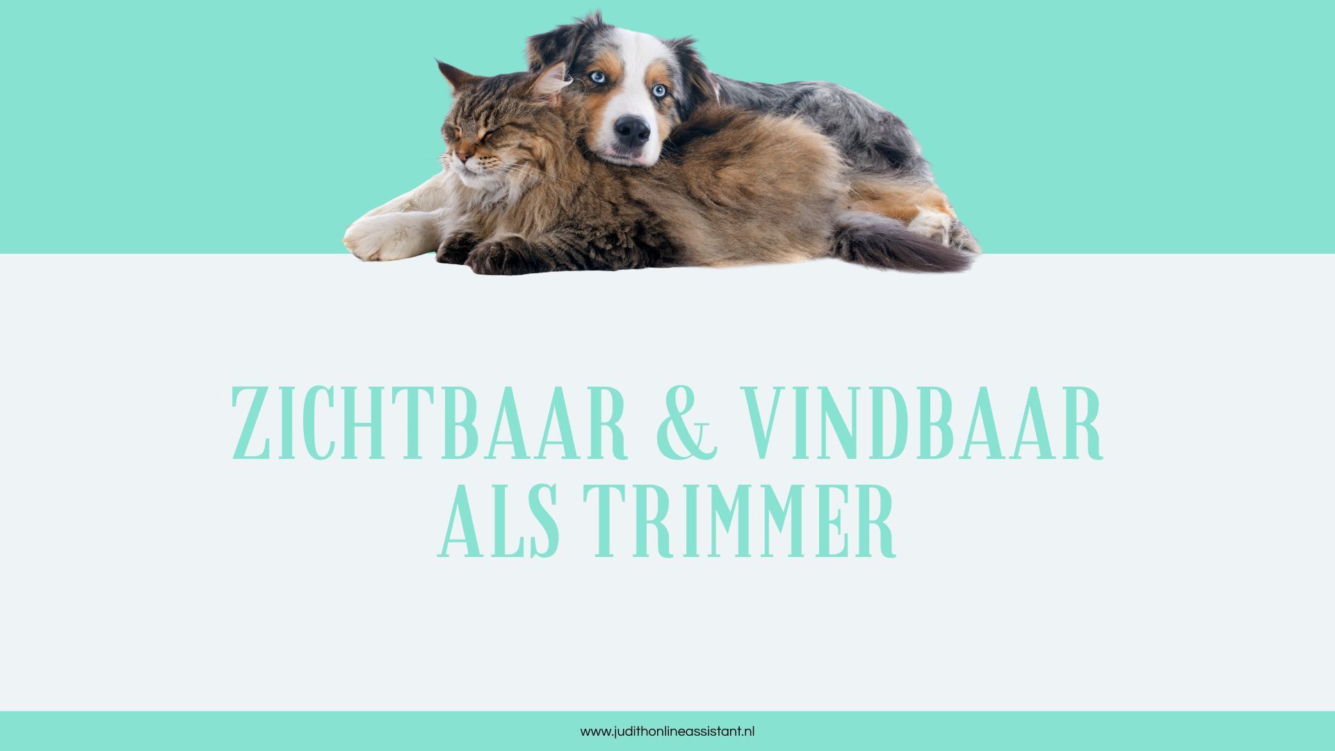 kattentrimmer nieuwe klanten vinden