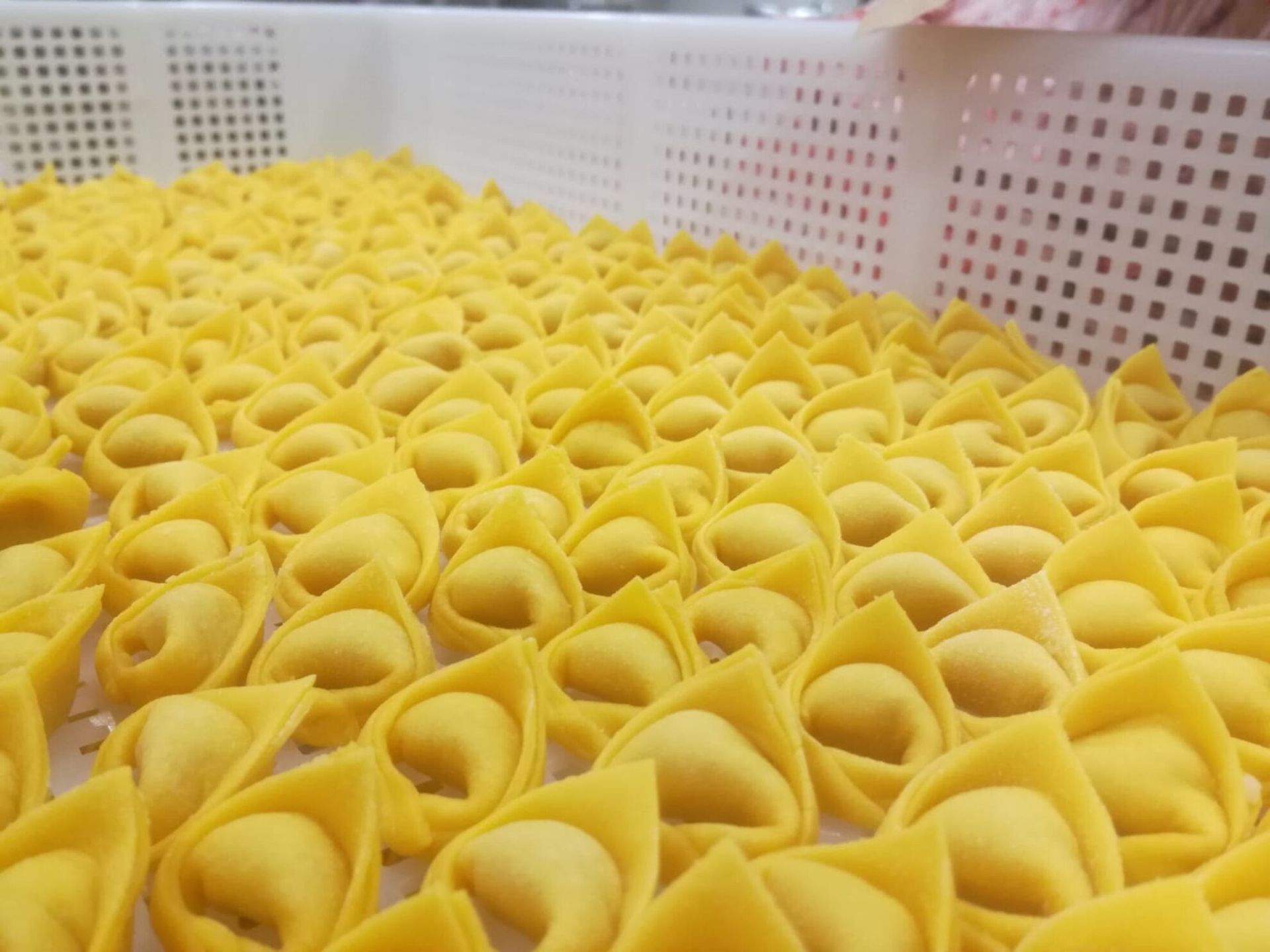 Pasta gialla tortellini in un vassoio bianco, pronta per la cottura.