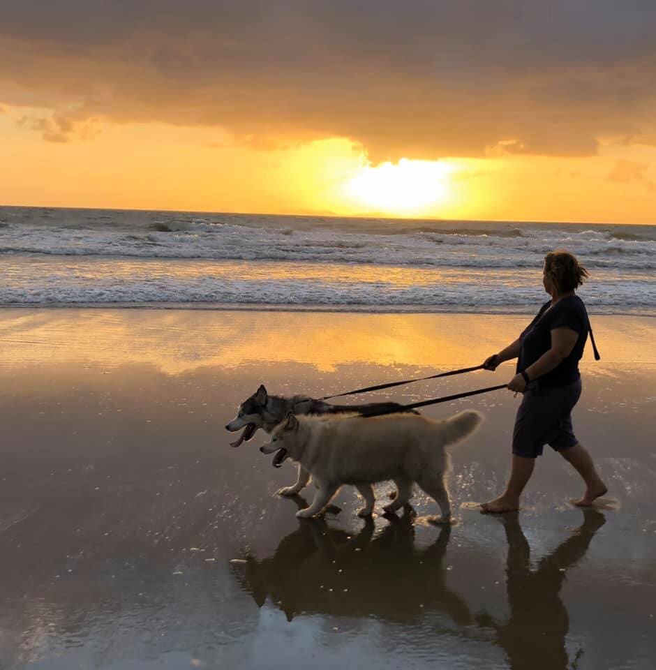 About Us Yeppoon Boarding Kennels & Cattery