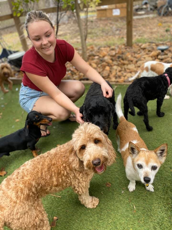 Gallery Yeppoon Boarding Kennels & Cattery