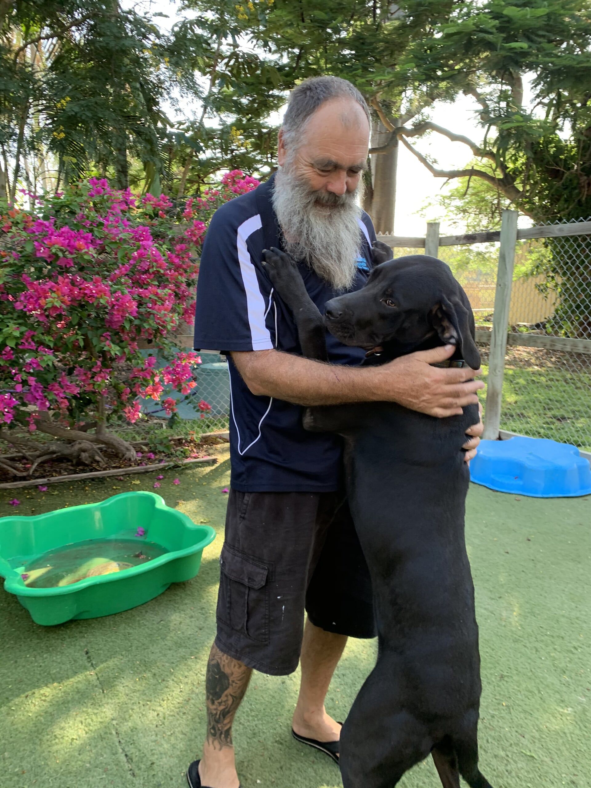Gallery Yeppoon Boarding Kennels & Cattery