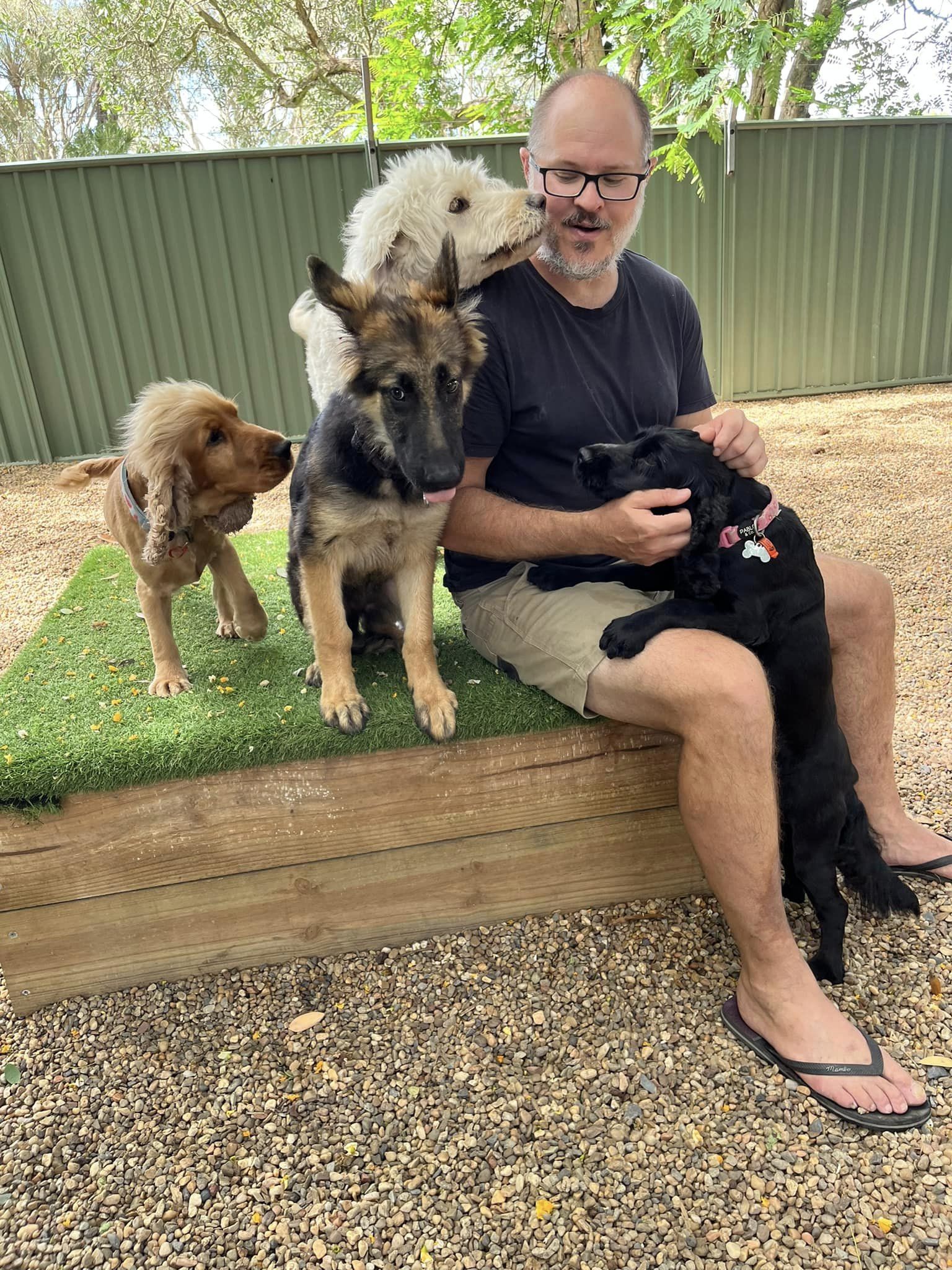 Dog Kennel in Yeppoon Yeppoon Boarding Kennels & Cattery
