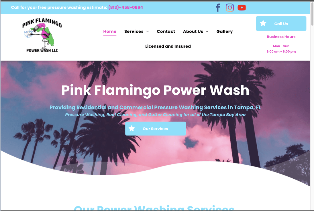 Pressure washing Website