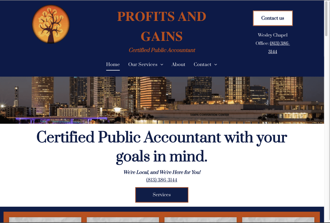 Website for Profits and Gains, CPA. Dark blue header, city skyline background, offers accounting services.