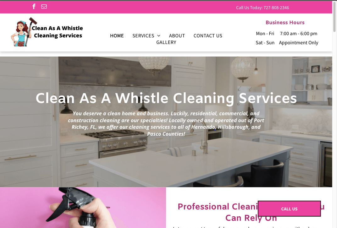 Cleaning Service Website