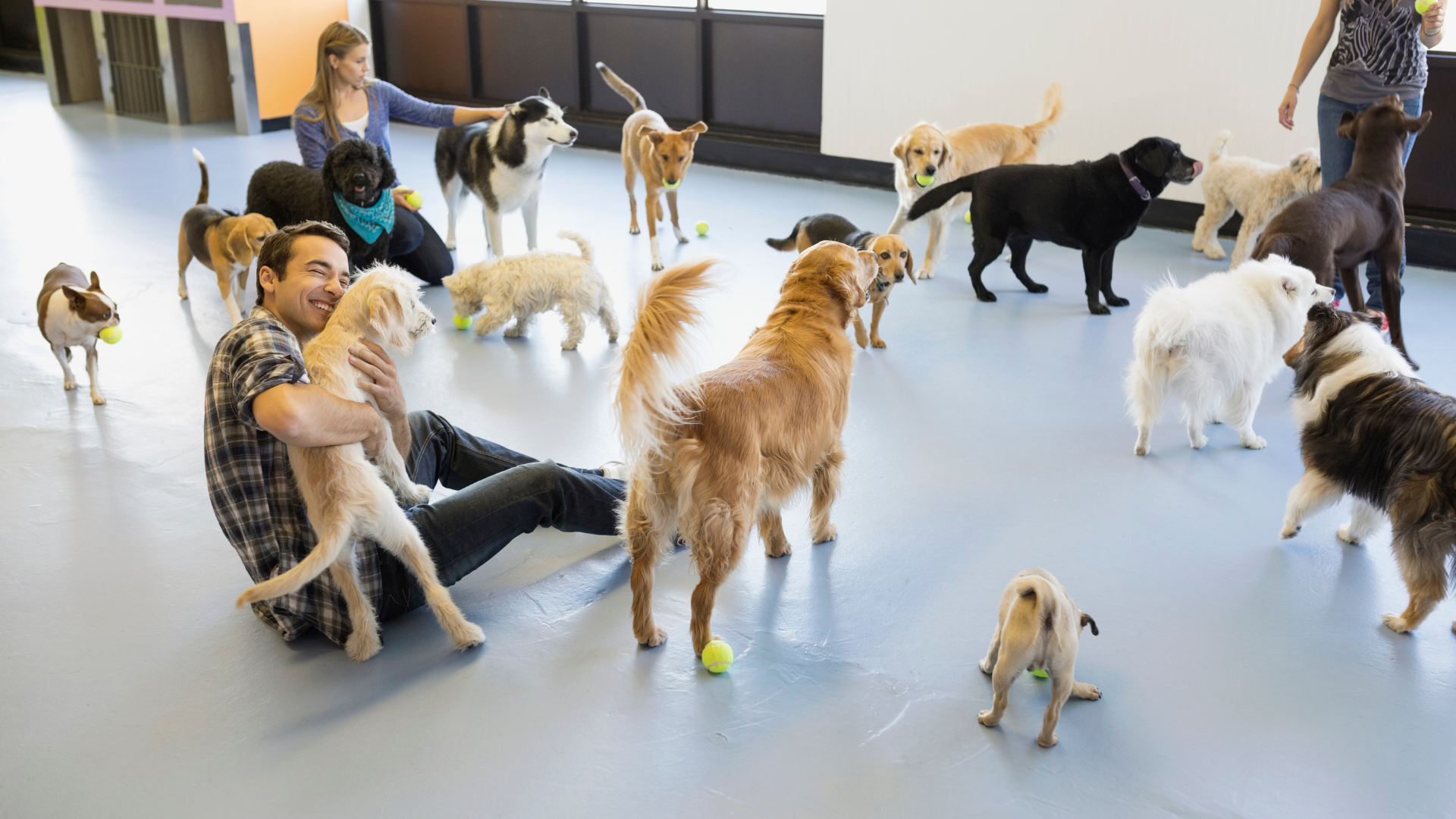 A man is sitting on the floor surrounded by dogs.
