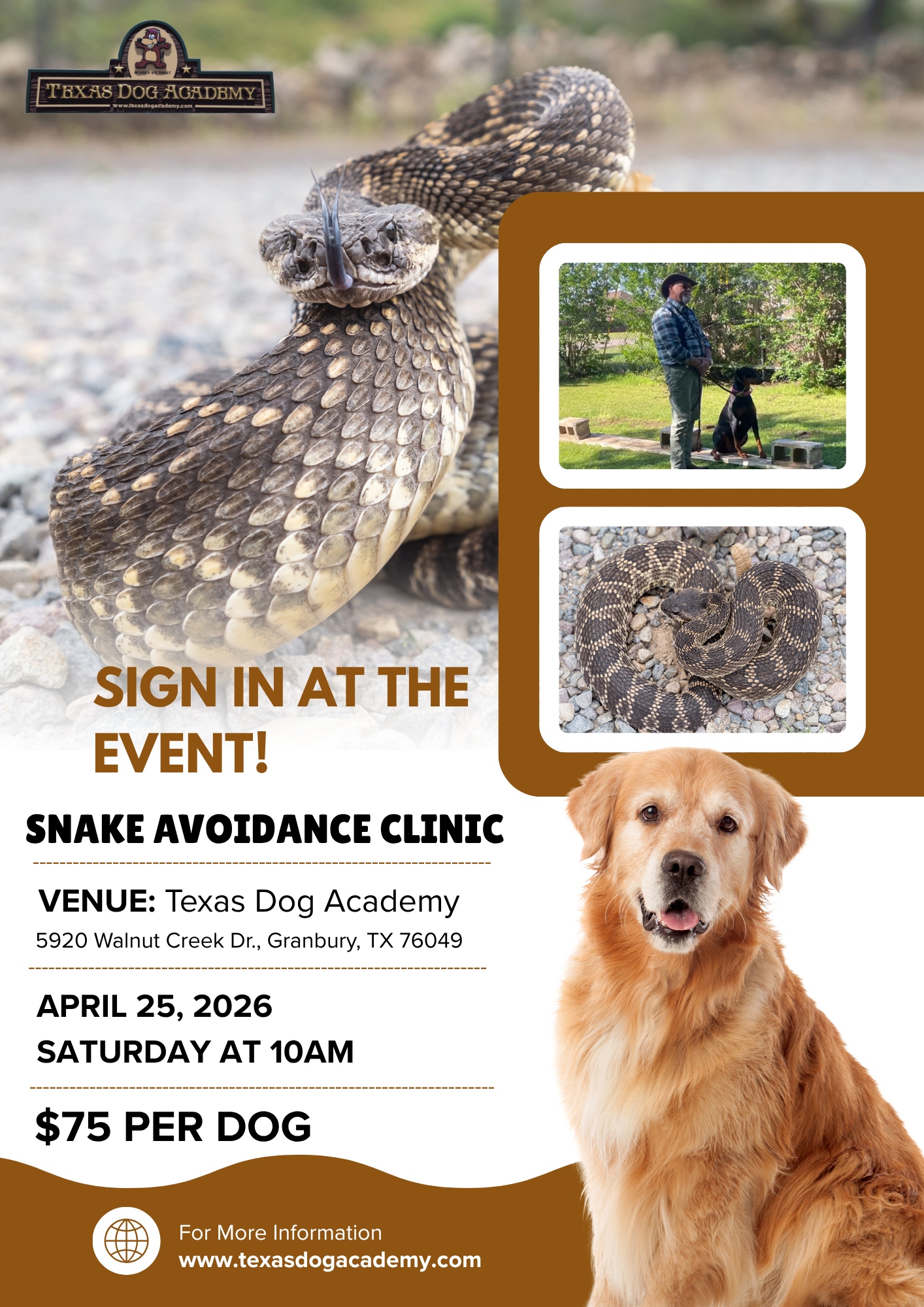 A flyer for a Snake Avoidance Clinic on April 25, 2026, at Texas Dog Academy, featuring a rattlesnake and a golden retriever.