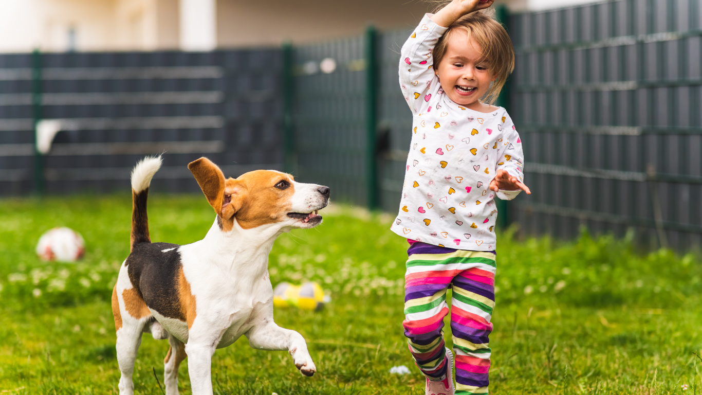 A little girl is playing with a dog in the grass.