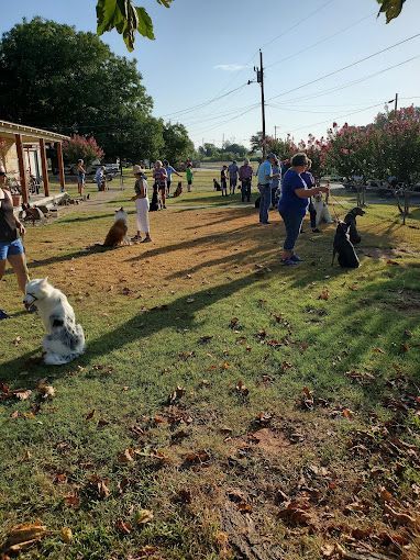 A group of people are standing in a park with their dogs.