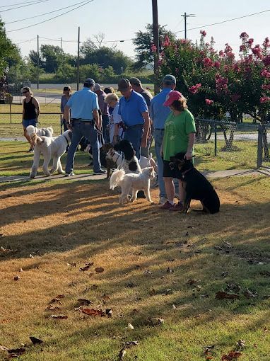 A group of people are standing in a park with their dogs.