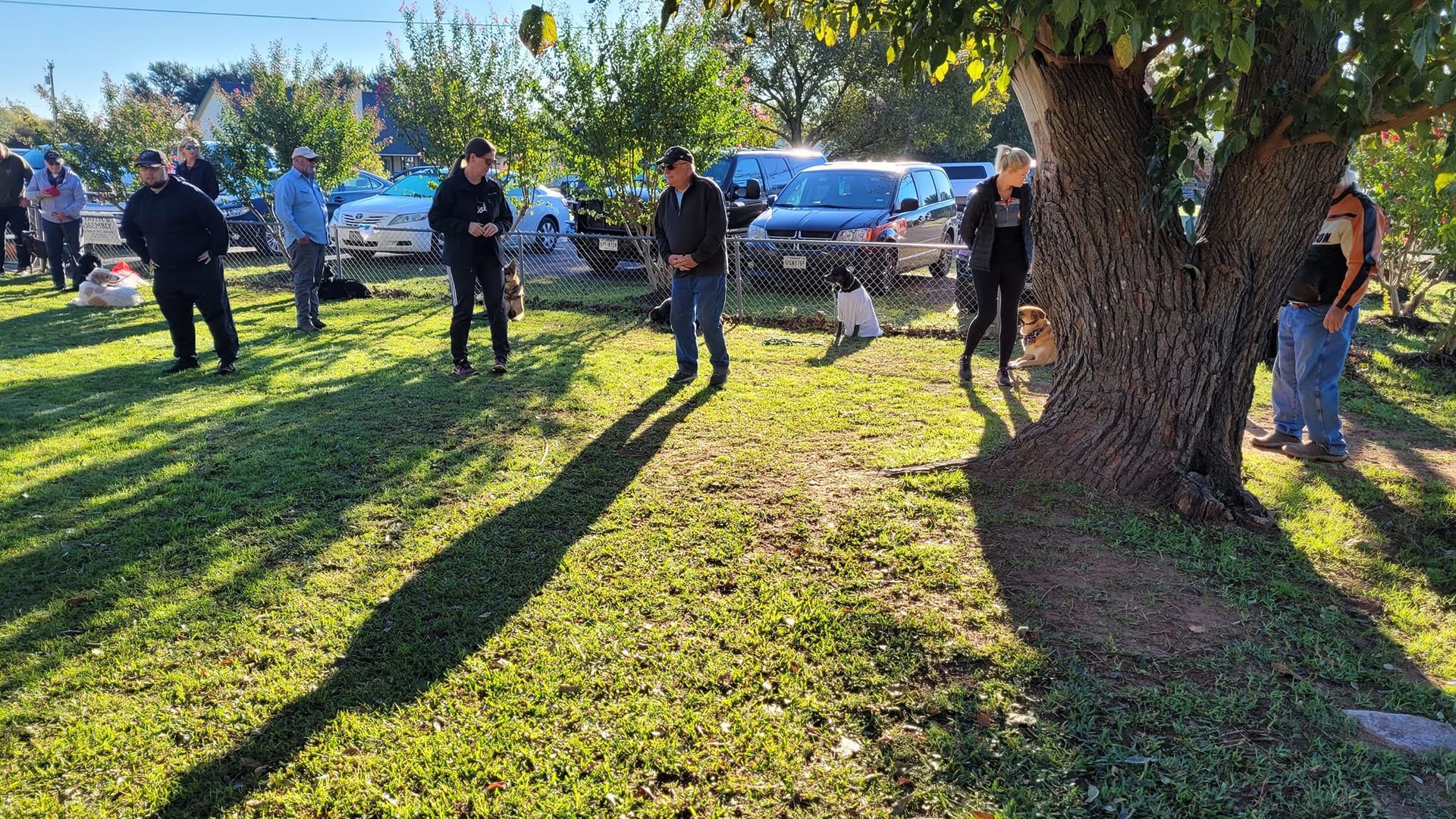 A group of people are standing around a tree in a park.