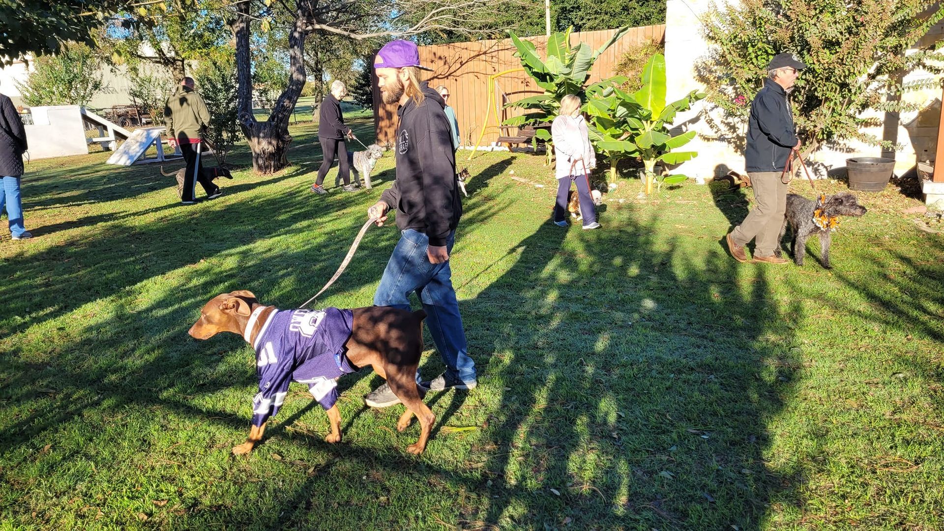 A man is walking two dogs on a leash in a park.