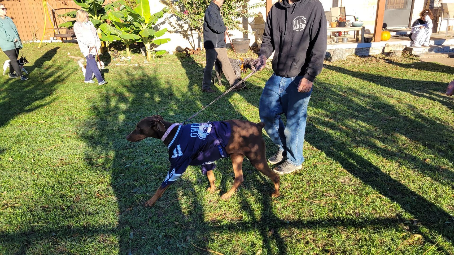 A man is walking a dog on a leash in a yard.