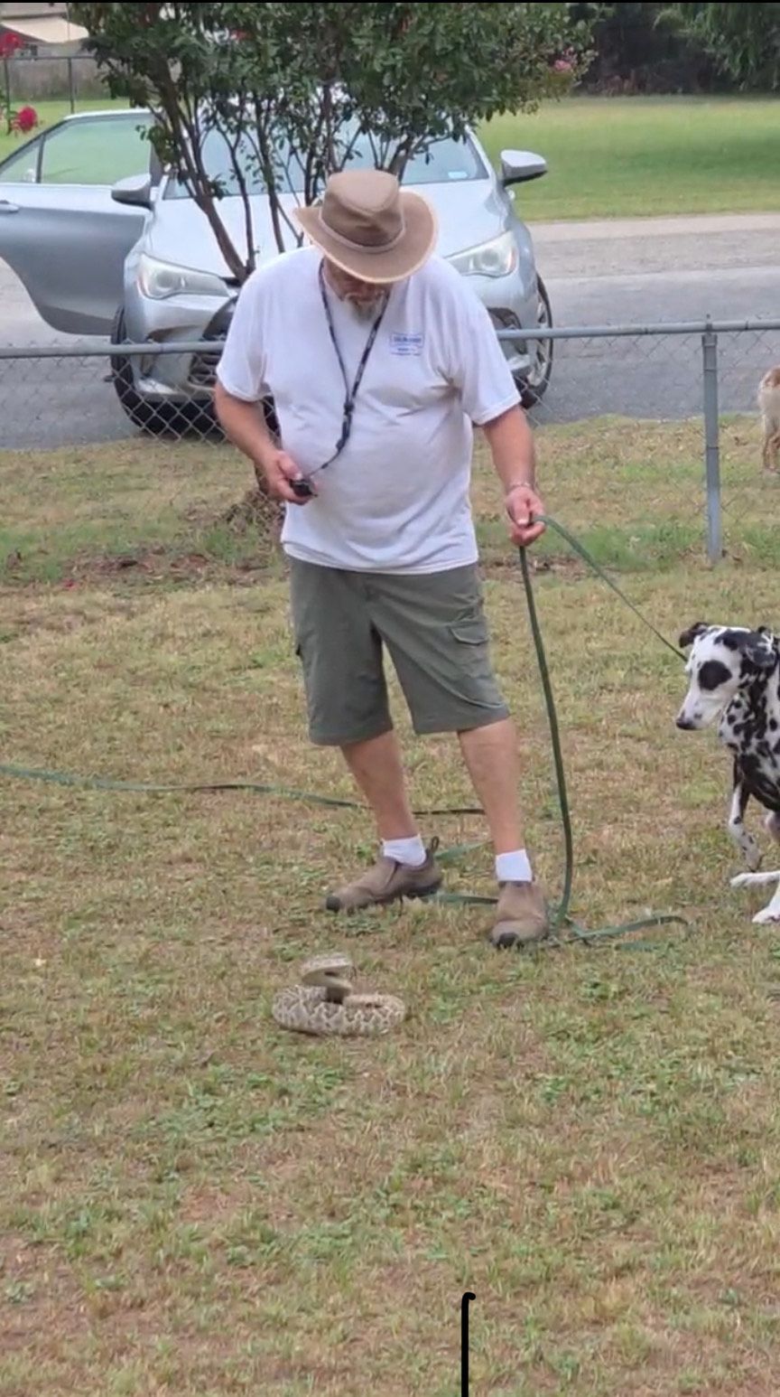 Man in hat training a Dalmatian in a grassy yard, holding leash and clicker. Car and fence in background.